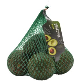 Australian+Avocado+Pk+5