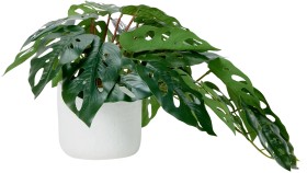 Artificial-Monstera-Plant on sale