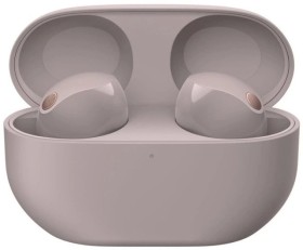 Sony-Truly-Wireless-Earbuds-with-Noise-Cancelling-Smokey-Pink on sale