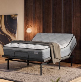 Sealy-Posturematic-Element-Base on sale