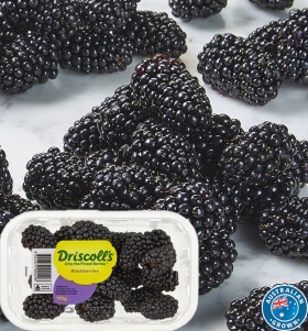 Australian-Blackberries-170g-Punnet on sale