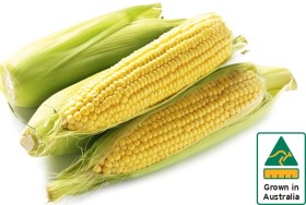 Australian+Sweet+Corn+500g+Pack