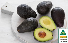 Australian+Hass+Avocados