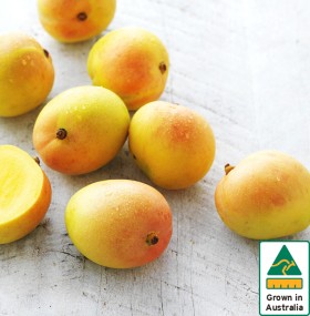 Australian+Mangoes