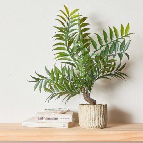 Bespoke+Potted+Plant+by+M.U.S.E.