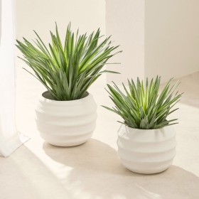 Auden+Ribbed+Decorative+Pot+by+M.U.S.E.