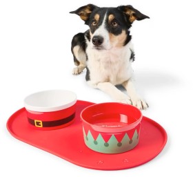 2+Pack+Melamine+Pet+Bowl+Set