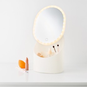 LED+Mirror+with+Storage