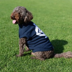 AFL-Carlton-Blues-Pet-Jumper-Medium on sale