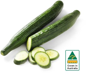 Australian+Continental+Cucumber