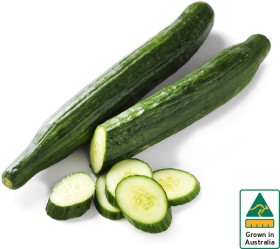 Australian-Continental-Cucumber on sale
