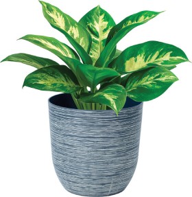 Rippled-Pot on sale