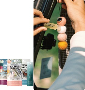 Smelly+Balls+Reusable+Car+Air+Fresheners