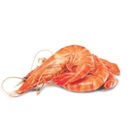Thawed-Extra-Large-Cooked-Australian-Tiger-Prawns on sale