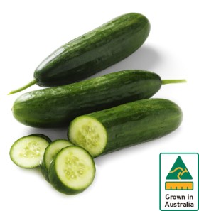 Australian-Lebanese-Cucumber on sale