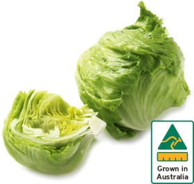 Australian+Iceberg+Lettuce