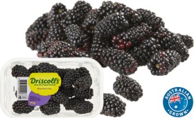 Australian-Blackberries-170g-Punnet on sale