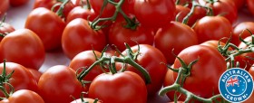 Australian-Truss-Tomatoes on sale
