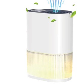 ADVWIN+Dehumidifier+for+Home+2000ml