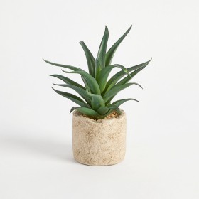 Bartel+Agave+Potted+Succulent+by+M.U.S.E.