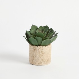 Bartel+Succulent+Potted+Succulent+by+M.U.S.E.