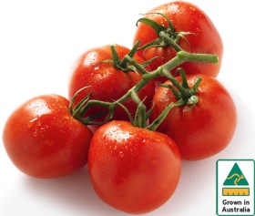 Australian-Truss-Tomatoes on sale