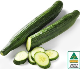 Australian-Continental-Cucumber on sale