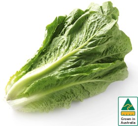 Australian-Cos-Lettuce-Twin-Pack on sale