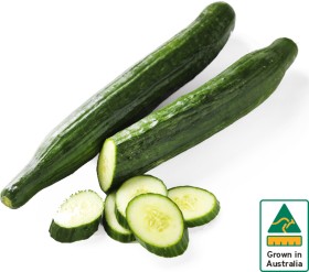 Australian-Continental-Cucumber on sale