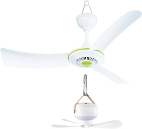 Wanderer-Portable-Ceiling-Fans on sale