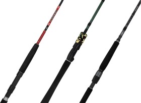 15-off-Regular-Price-on-Selected-Daiwa-Rods on sale