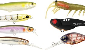 15-off-Regular-Price-on-All-Lures-by-Pro-Lure on sale