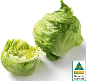 Australian+Iceberg+Lettuce