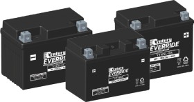 15-off-Century-Everride-Powersport-Batteries on sale