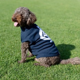 AFL-Carlton-Blues-Pet-Jumper-Medium on sale
