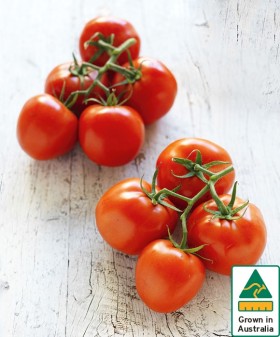 Australian+Truss+Tomatoes