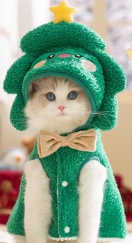 Twinkle+Tails+Festive+Wear