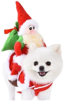 Santa%26%23039%3Bs+Furry+Helper+Festive+Wear