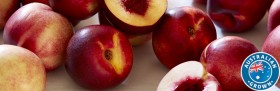 Australian-White-or-Yellow-Nectarines on sale