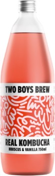 Two+Boys+Brew+Kombucha+750mL+Selected+Varieties