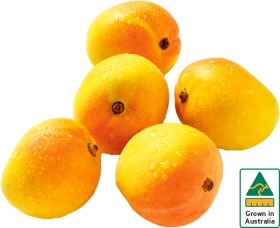 Australian+Mangoes