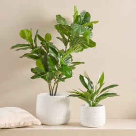 Webster-White-Ceramic-Decorative-Pot-by-MUSE on sale