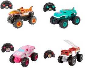 Hot-Wheels-Monster-Trucks-124-RC-Assorted on sale