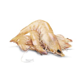 Thawed-Large-Australian-Green-Banana-Prawns on sale