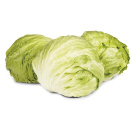 Australian+Iceberg+Lettuce