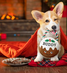 Personalised+Christmas+Squeaky+Dog+Toy