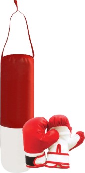 Pro-Strike-Rebound-Boxer-Starter-Set on sale