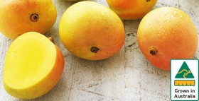 Australian+Mangoes