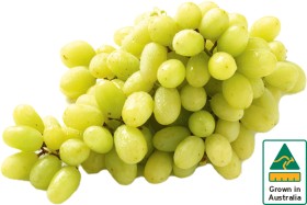 Australian+White+Seedless+Grapes