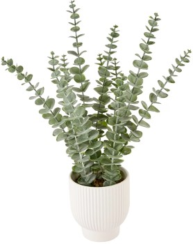 Artificial+Eucalyptus+in+Pot